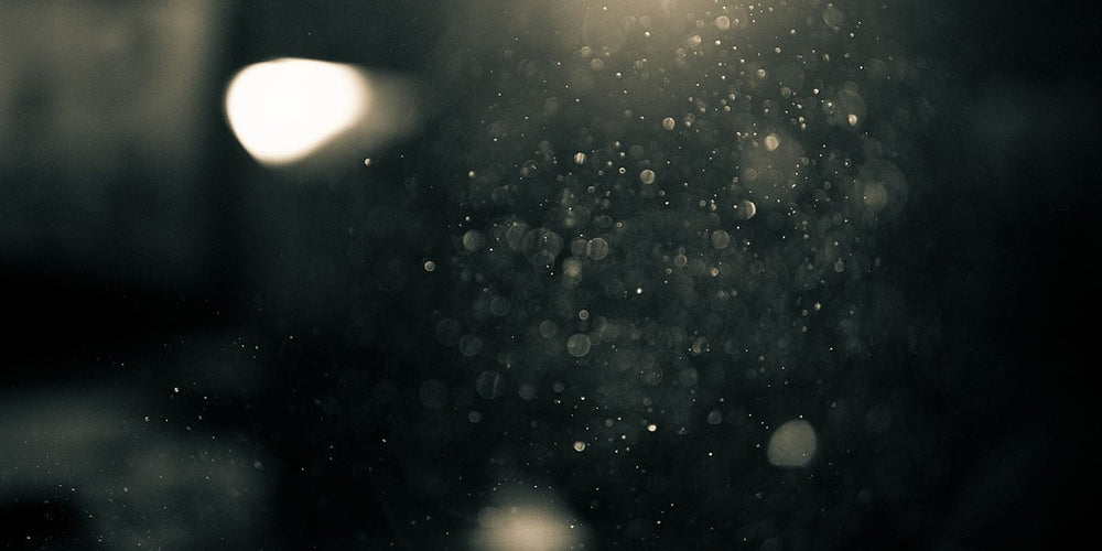 Så väljer du rätt hästfoder för din häst, en guide för alla hästägare