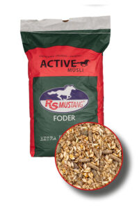 RS Mustang Active Müsli 20kg