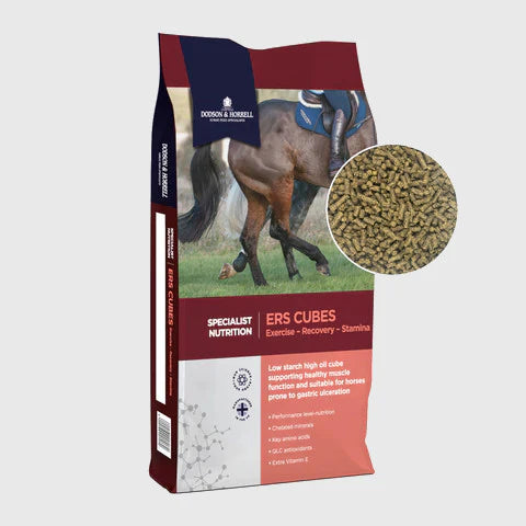 D&H Ers cubes 20kg Outlet