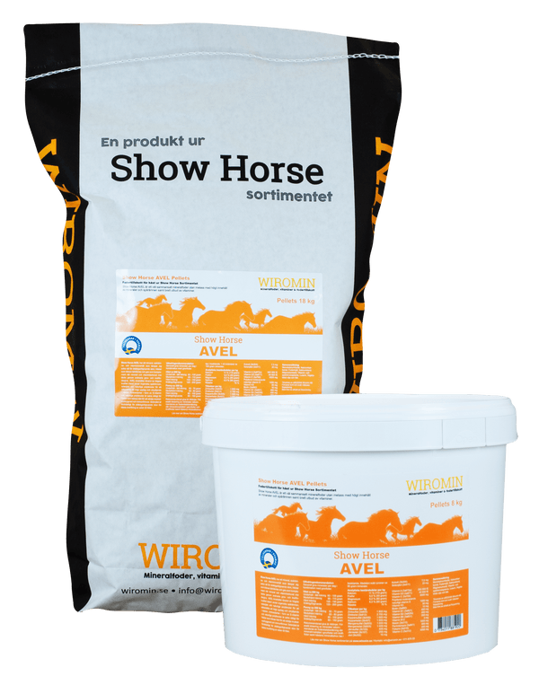 Show Horse Avel