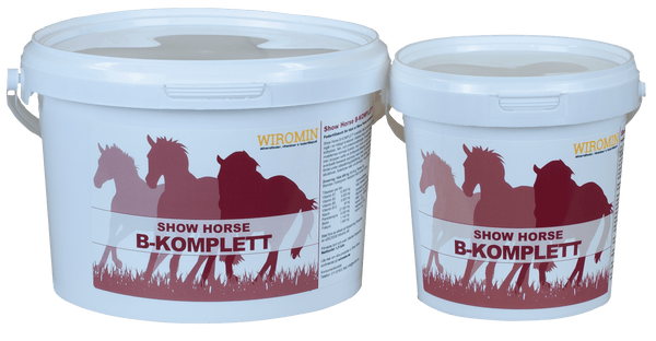 Show Horse B-Komplett
