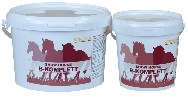 Show Horse B-Komplett