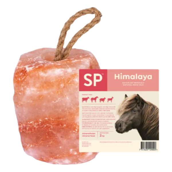 Himalayasaltsten Sp 2Kg