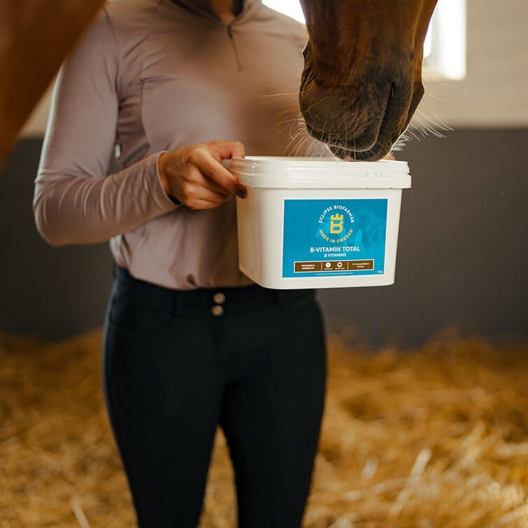 Biofarmab kosttillskott Biofarmab B-vitamin total