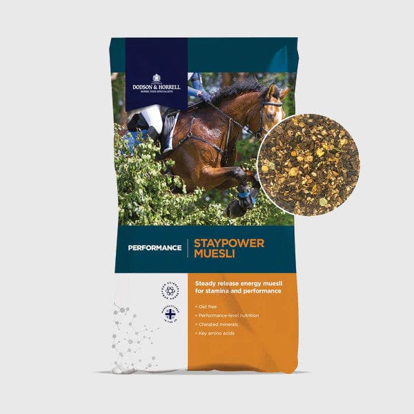 D&H Foder D&H Stay Power Musli 20 kg