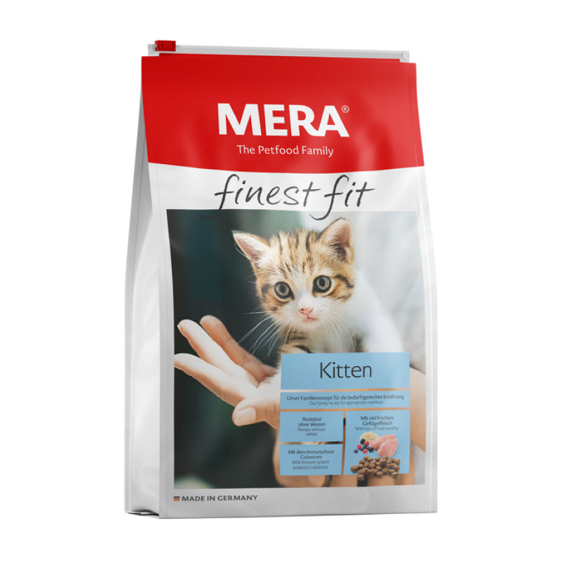 Mera kitten