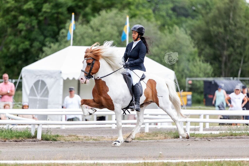 Pavo Foder Pavo Easypower 15 Kg