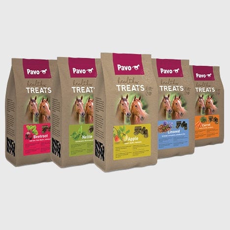 Pavo Foder Pavo Healthy Treats 1kg