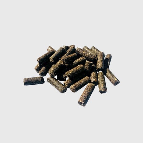 Pavo Foder Pavo Performance 20kg