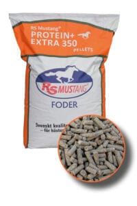 RS Mustang RS MUSTANG PROTEIN + EXTRA 350 20 KG