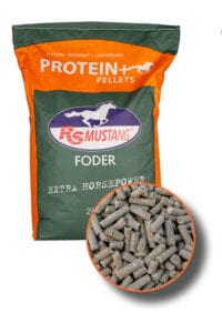 RS Mustang RS MUSTANG PROTEIN + PELLETS 20 KG
