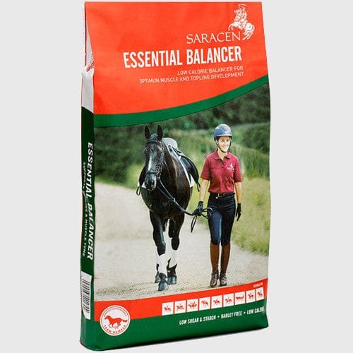 Saracen Saracen Essential Balancer 20kg