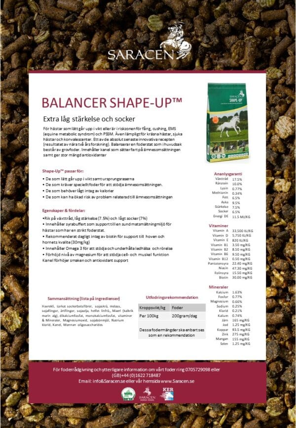 Saracen Saracen Shape Up 20kg