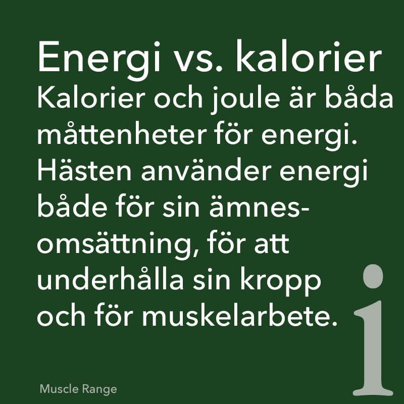 St Hippolyt Foder St Hippolyt Muscle Rice 25 Kg