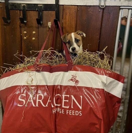 StallochFoder.se Höpåse Saracen