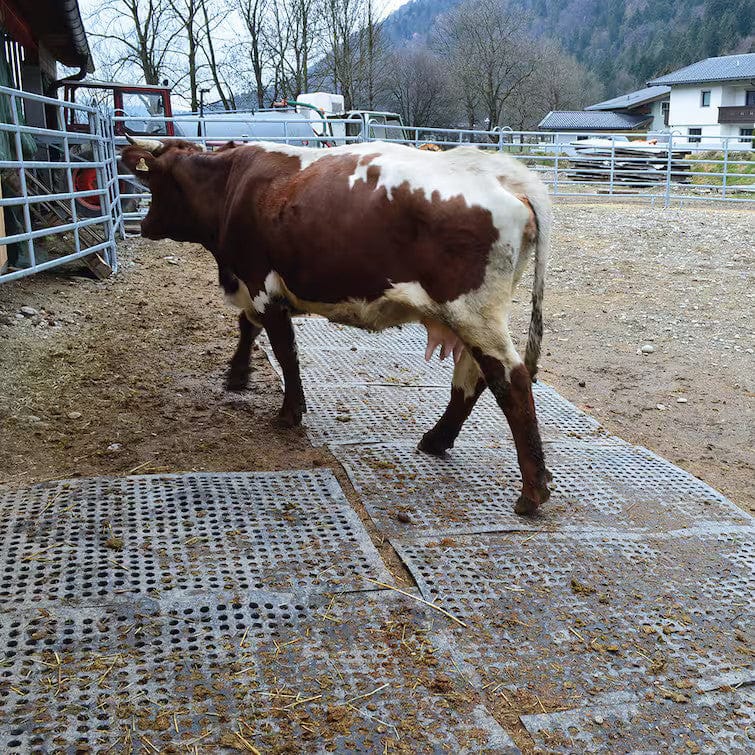 StallochFoder.se Stalltillbehör Kraiburg LOMAX markstabilisering 1100x1750mm